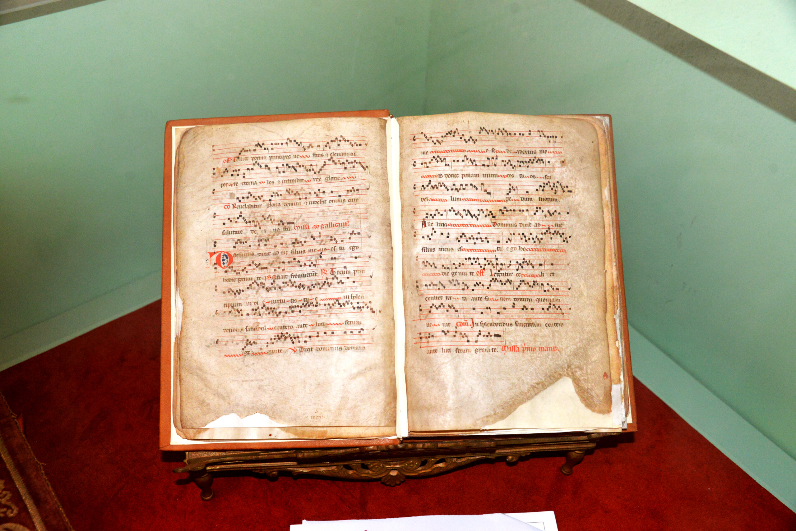 Foto 5