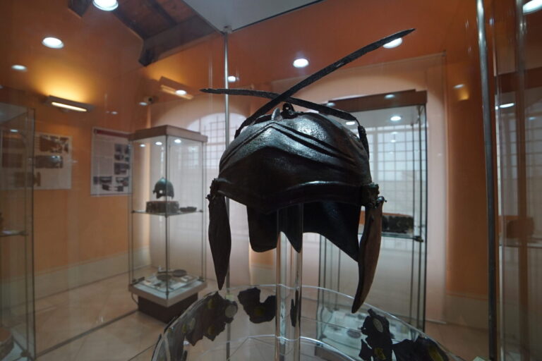 Foto 7